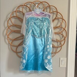 Disney Frozen Costume - Blue and White